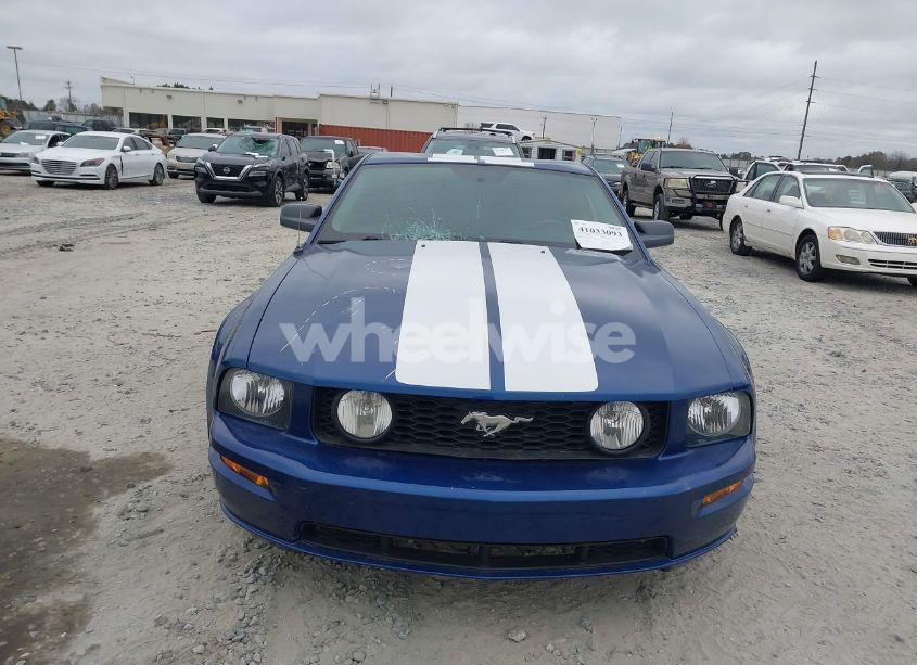 Photo 12 of 2009 Ford Mustang GT/GT PREMIUM (VIN 1ZVHT82H795120581)