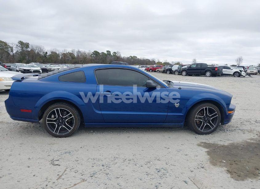 Photo 13 of 2009 Ford Mustang GT/GT PREMIUM (VIN 1ZVHT82H795120581)