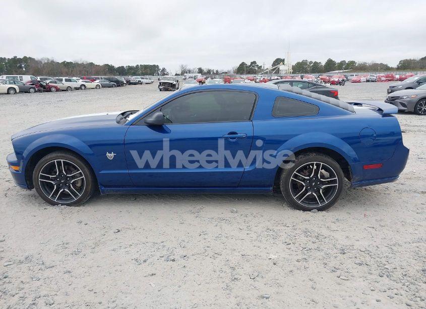 Photo 14 of 2009 Ford Mustang GT/GT PREMIUM (VIN 1ZVHT82H795120581)