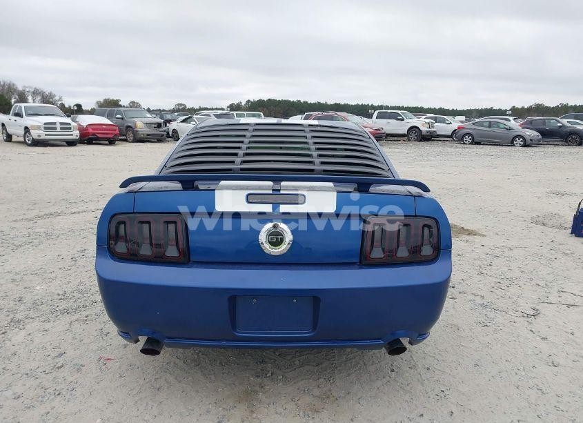 Photo 16 of 2009 Ford Mustang GT/GT PREMIUM (VIN 1ZVHT82H795120581)