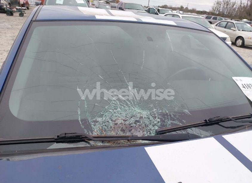 Photo 17 of 2009 Ford Mustang GT/GT PREMIUM (VIN 1ZVHT82H795120581)