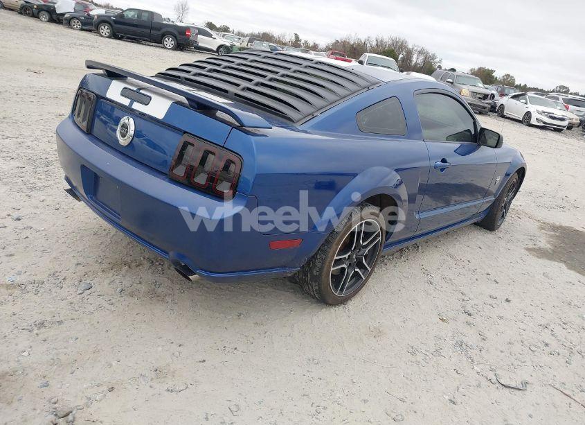Photo 4 of 2009 Ford Mustang GT/GT PREMIUM (VIN 1ZVHT82H795120581)