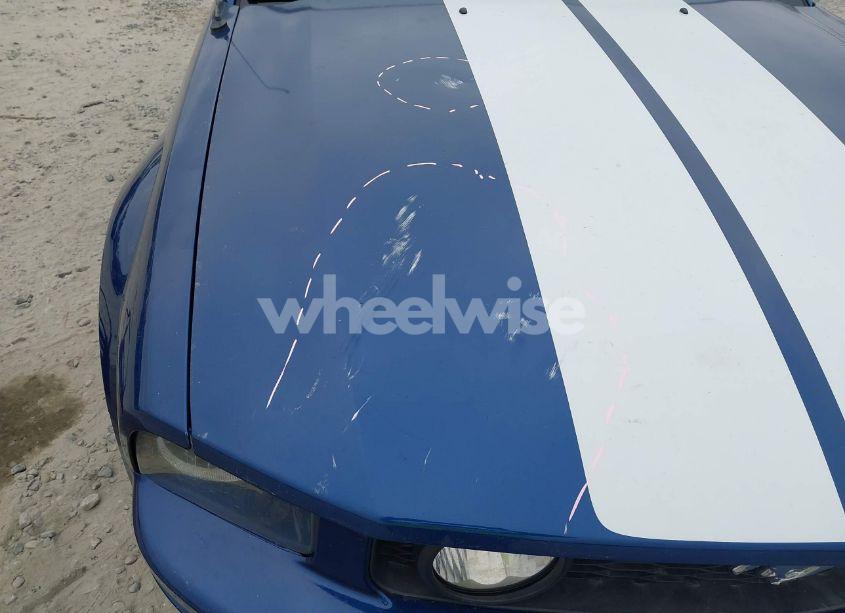 Photo 6 of 2009 Ford Mustang GT/GT PREMIUM (VIN 1ZVHT82H795120581)