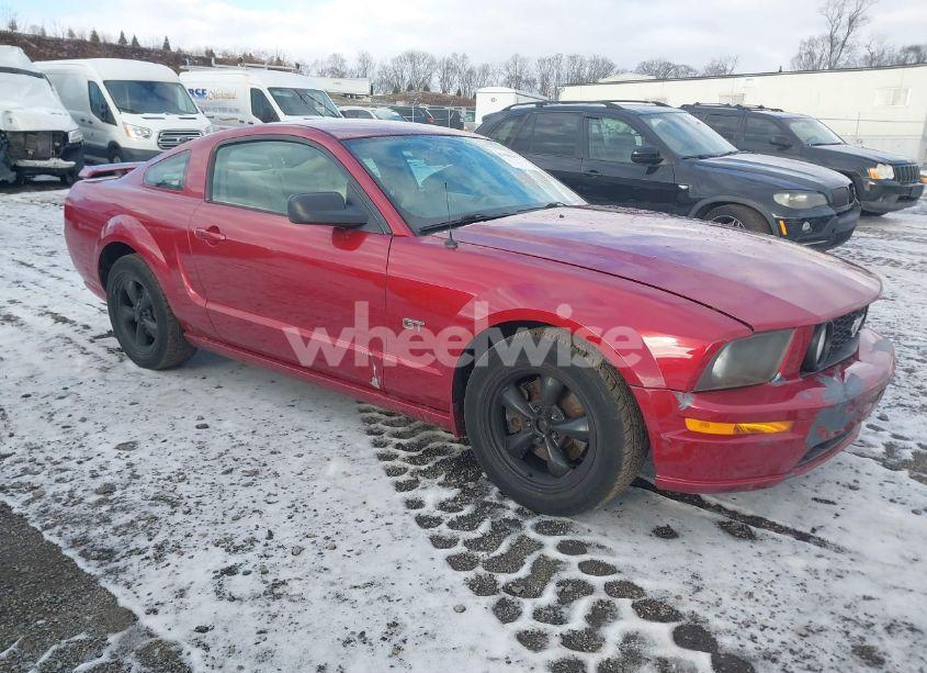 2006 Ford Mustang GT (VIN 1ZVHT82H865203044) main photo