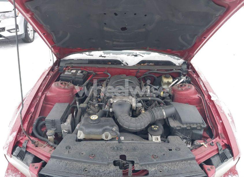 Photo 10 of 2006 Ford Mustang GT (VIN 1ZVHT82H865203044)