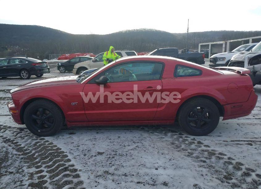 Photo 14 of 2006 Ford Mustang GT (VIN 1ZVHT82H865203044)