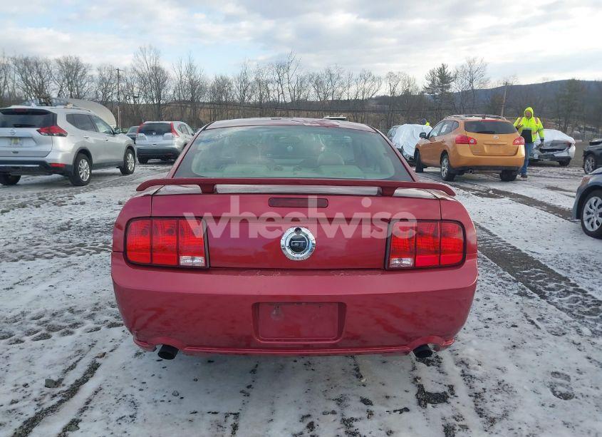 Photo 16 of 2006 Ford Mustang GT (VIN 1ZVHT82H865203044)