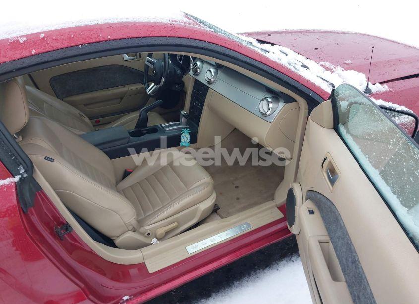 Photo 5 of 2006 Ford Mustang GT (VIN 1ZVHT82H865203044)