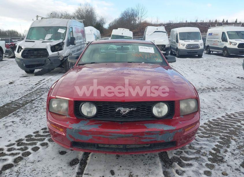 Photo 6 of 2006 Ford Mustang GT (VIN 1ZVHT82H865203044)