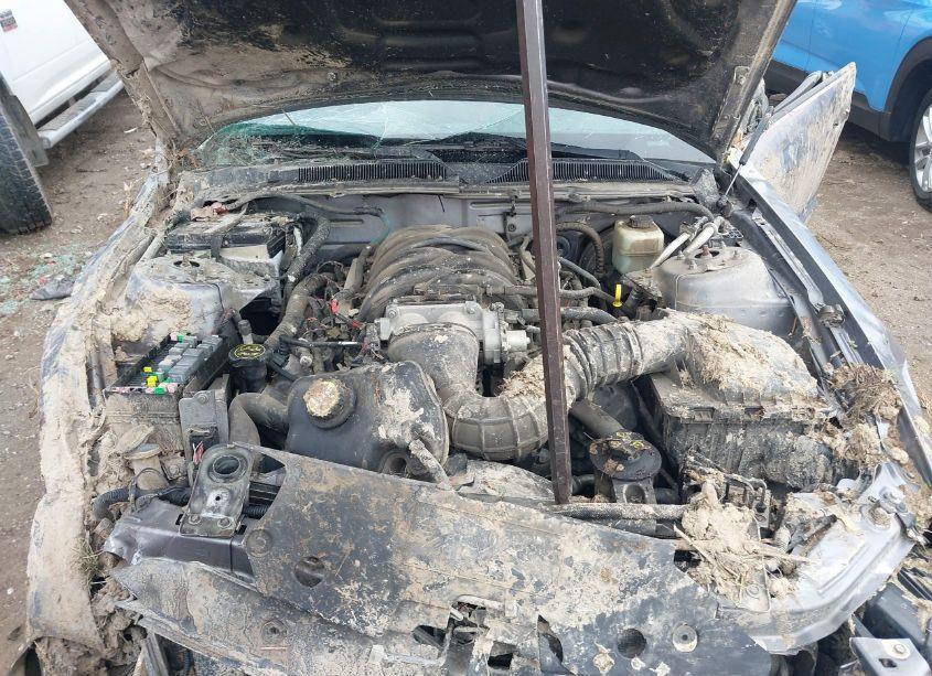 Photo 10 of 2006 Ford Mustang GT (VIN 1ZVHT82H865210799)