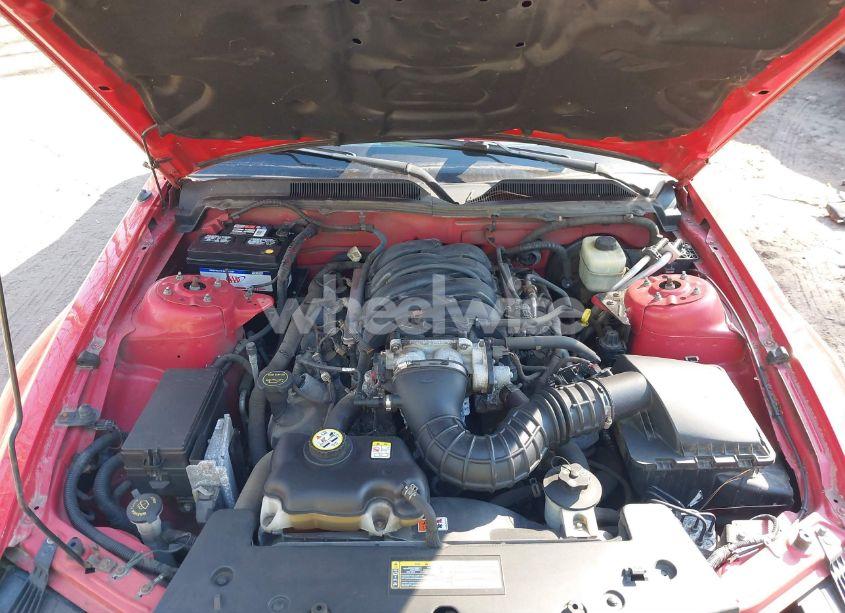 Photo 10 of 2006 Ford Mustang GT (VIN 1ZVHT82H865224217)