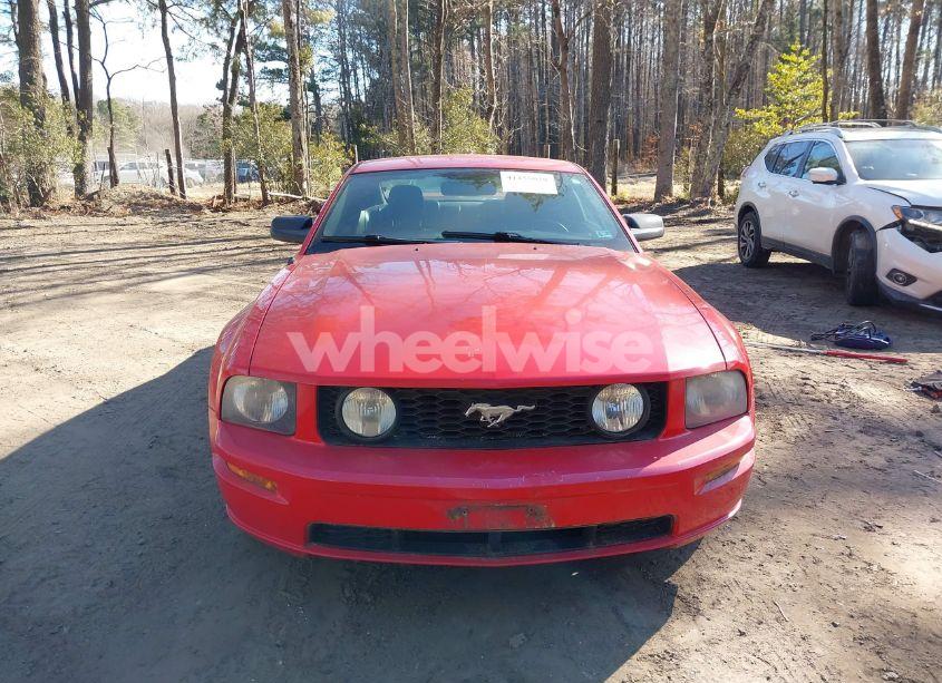 Photo 12 of 2006 Ford Mustang GT (VIN 1ZVHT82H865224217)
