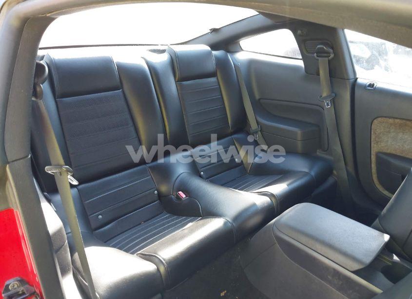 Photo 8 of 2006 Ford Mustang GT (VIN 1ZVHT82H865224217)