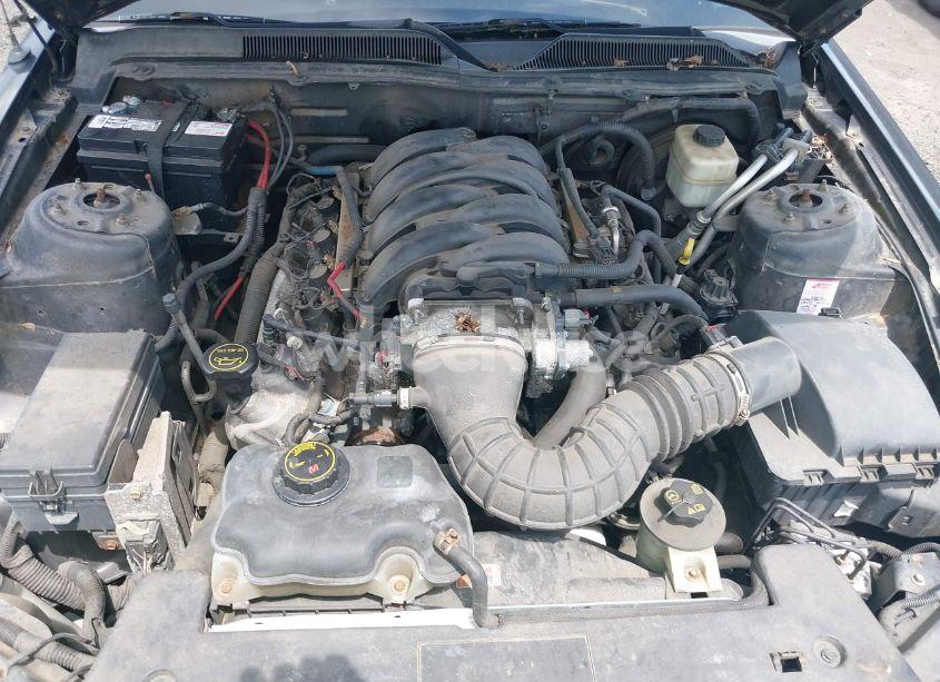 Photo 10 of 2007 Ford Mustang GT DELUXE/GT PREMIUM (VIN 1ZVHT82H875281518)