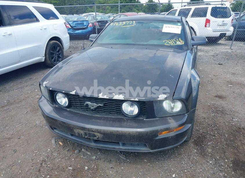 Photo 6 of 2007 Ford Mustang GT DELUXE/GT PREMIUM (VIN 1ZVHT82H875281518)