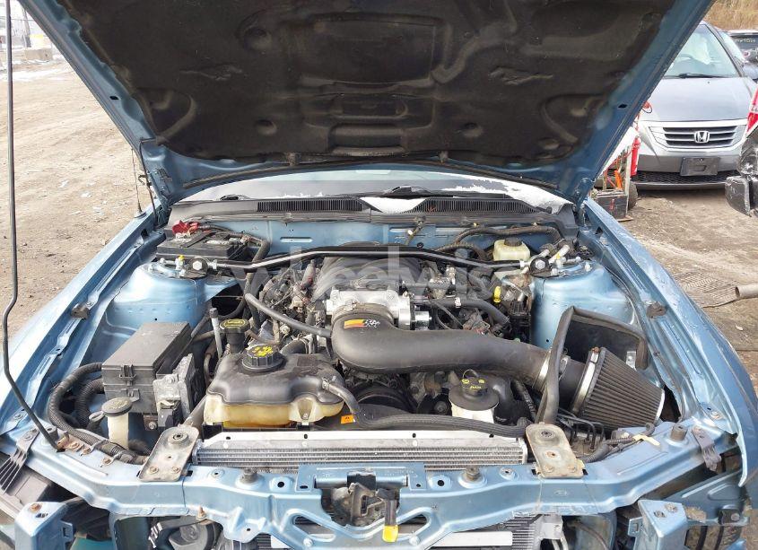 Photo 10 of 2005 Ford Mustang GT DELUXE/GT PREMIUM (VIN 1ZVHT82H955208719)