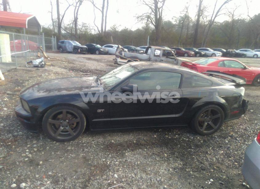 Photo 15 of 2006 Ford Mustang GT (VIN 1ZVHT82H965226638)