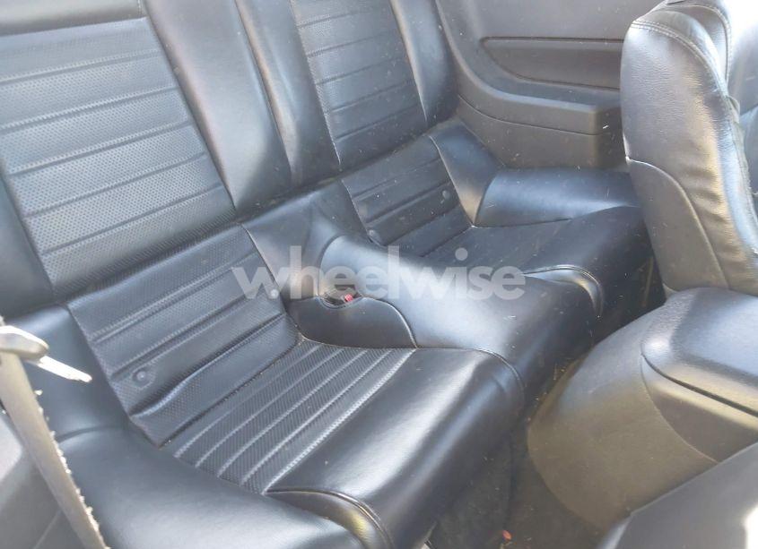 Photo 8 of 2006 Ford Mustang GT (VIN 1ZVHT82H965246453)