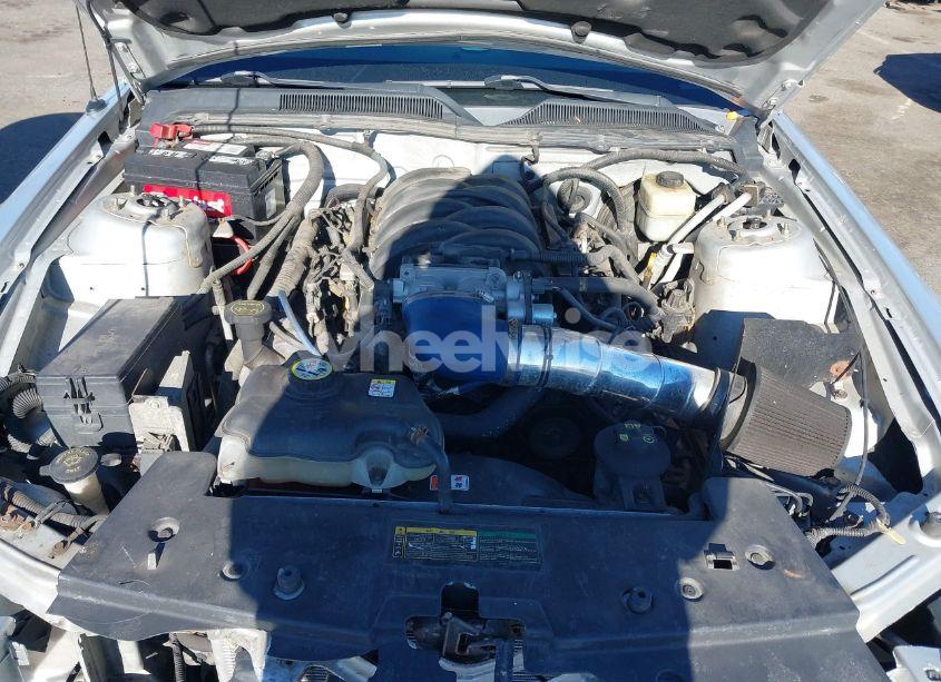 Photo 10 of 2008 Ford Mustang GT DELUXE/GT PREMIUM (VIN 1ZVHT82H985160854)