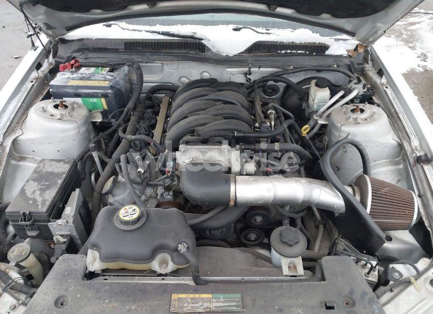 Photo 10 of 2009 Ford Mustang GT/GT PREMIUM (VIN 1ZVHT82H995124311)