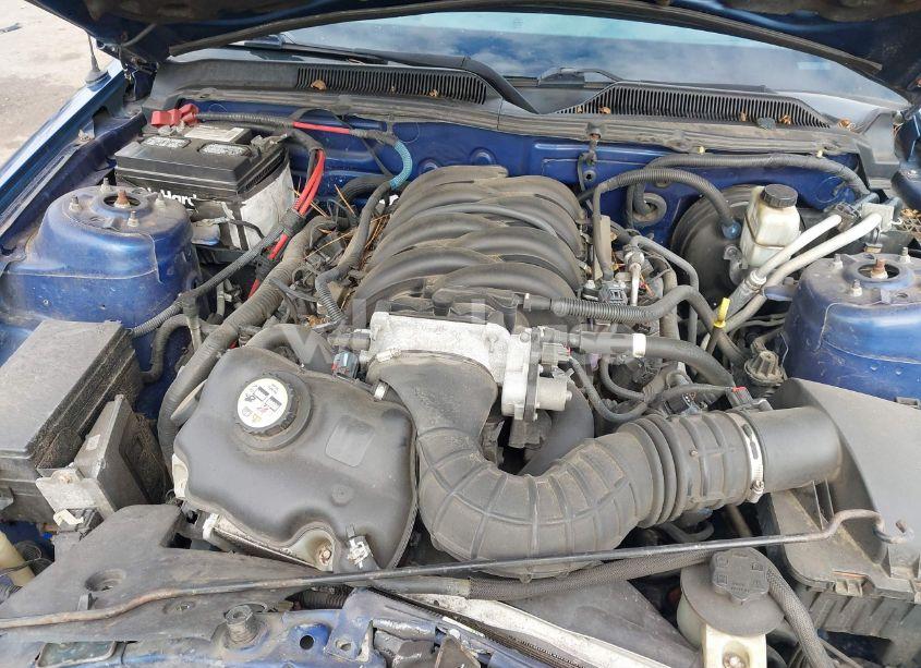 Photo 10 of 2009 Ford Mustang GT/GT PREMIUM (VIN 1ZVHT82H995141223)