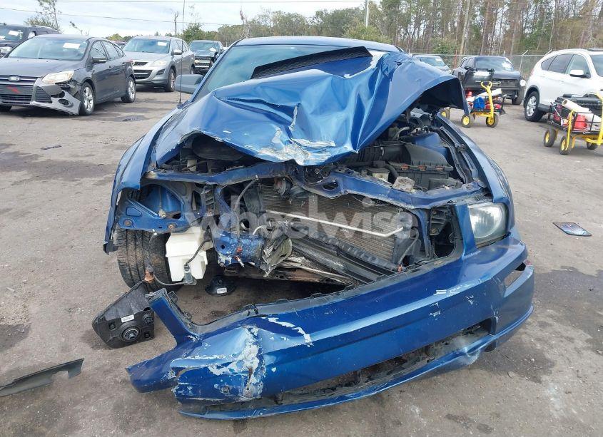 Photo 12 of 2009 Ford Mustang GT/GT PREMIUM (VIN 1ZVHT82H995141223)