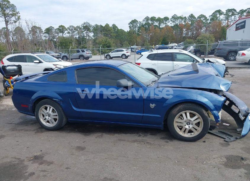 Photo 13 of 2009 Ford Mustang GT/GT PREMIUM (VIN 1ZVHT82H995141223)