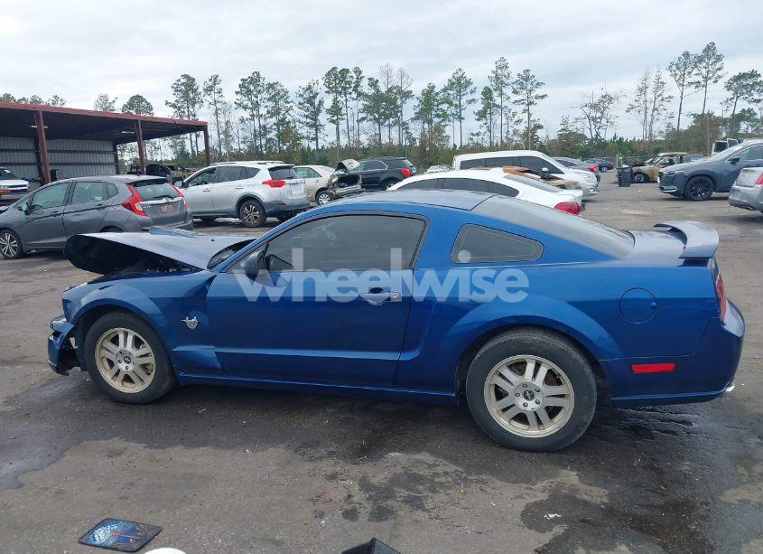Photo 14 of 2009 Ford Mustang GT/GT PREMIUM (VIN 1ZVHT82H995141223)