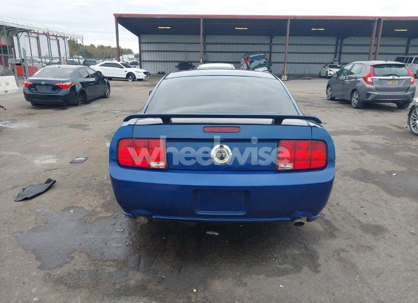 Photo 16 of 2009 Ford Mustang GT/GT PREMIUM (VIN 1ZVHT82H995141223)