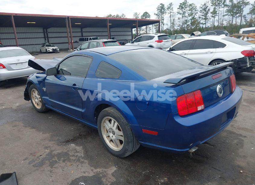 Photo 3 of 2009 Ford Mustang GT/GT PREMIUM (VIN 1ZVHT82H995141223)
