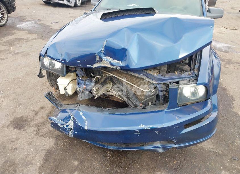 Photo 6 of 2009 Ford Mustang GT/GT PREMIUM (VIN 1ZVHT82H995141223)