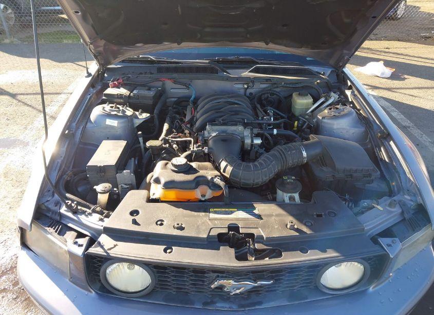 Photo 10 of 2006 Ford Mustang GT (VIN 1ZVHT82HX65115841)