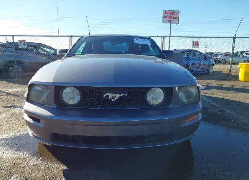 Photo 12 of 2006 Ford Mustang GT (VIN 1ZVHT82HX65115841)