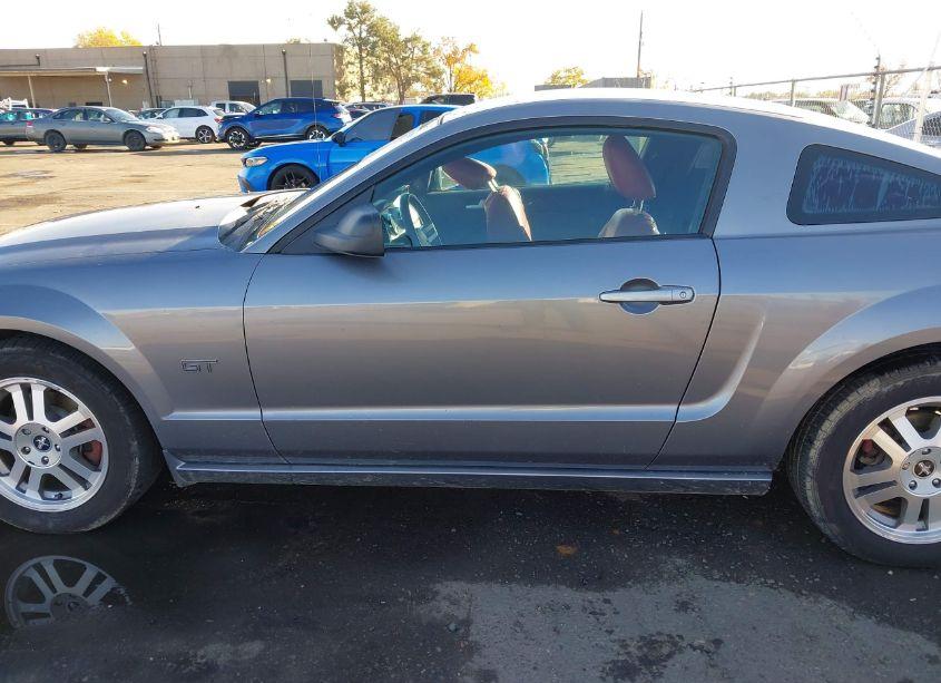 Photo 14 of 2006 Ford Mustang GT (VIN 1ZVHT82HX65115841)