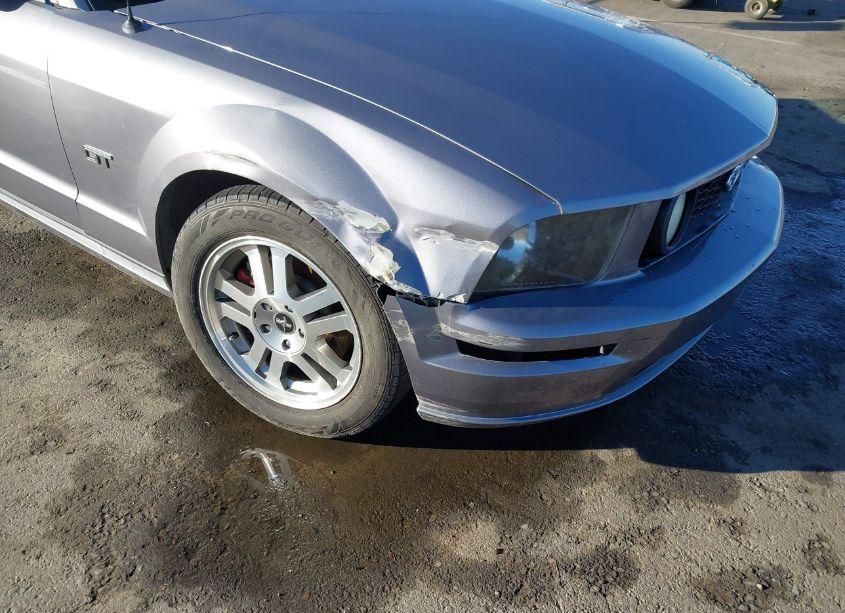 Photo 6 of 2006 Ford Mustang GT (VIN 1ZVHT82HX65115841)