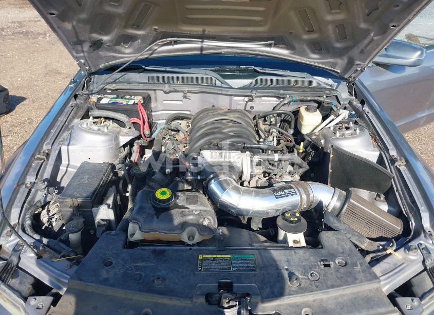 Photo 10 of 2006 Ford Mustang GT (VIN 1ZVHT82HX65120389)