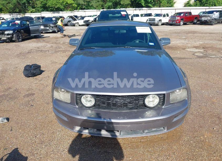 Photo 12 of 2006 Ford Mustang GT (VIN 1ZVHT82HX65120389)