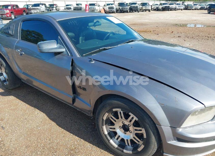 Photo 6 of 2006 Ford Mustang GT (VIN 1ZVHT82HX65120389)