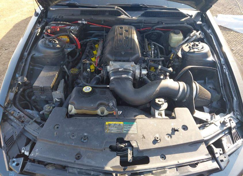 Photo 10 of 2006 Ford Mustang GT (VIN 1ZVHT82HX65244985)