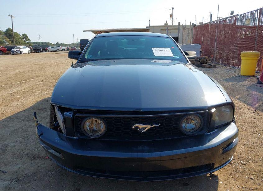 Photo 12 of 2006 Ford Mustang GT (VIN 1ZVHT82HX65244985)