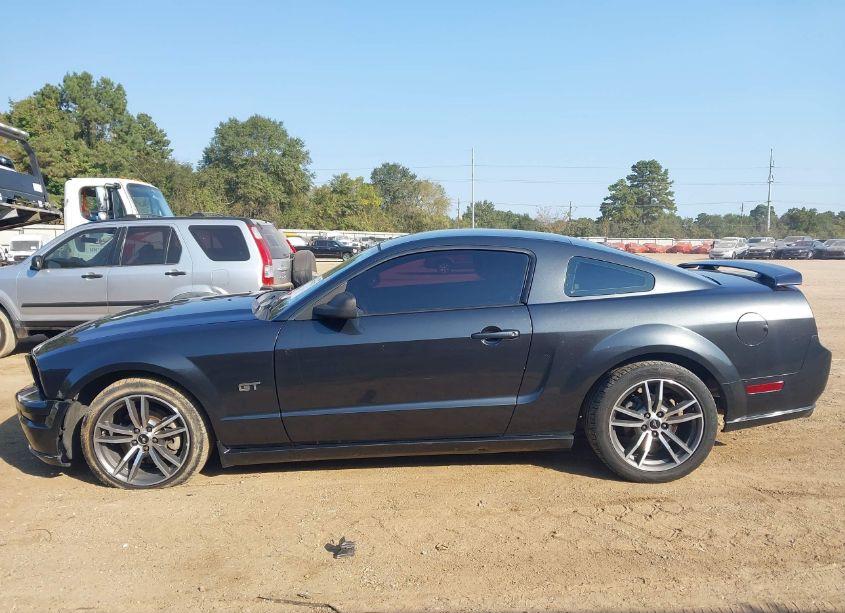 Photo 14 of 2006 Ford Mustang GT (VIN 1ZVHT82HX65244985)