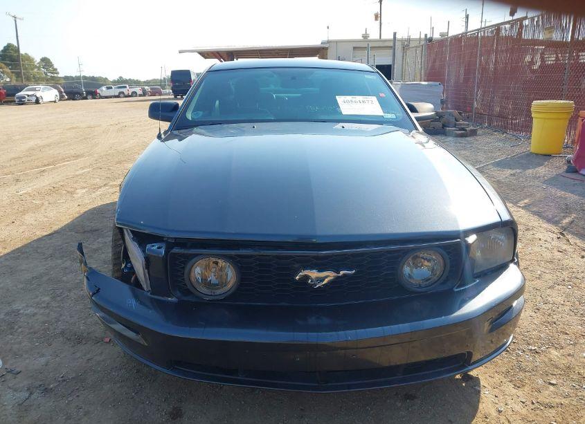Photo 6 of 2006 Ford Mustang GT (VIN 1ZVHT82HX65244985)