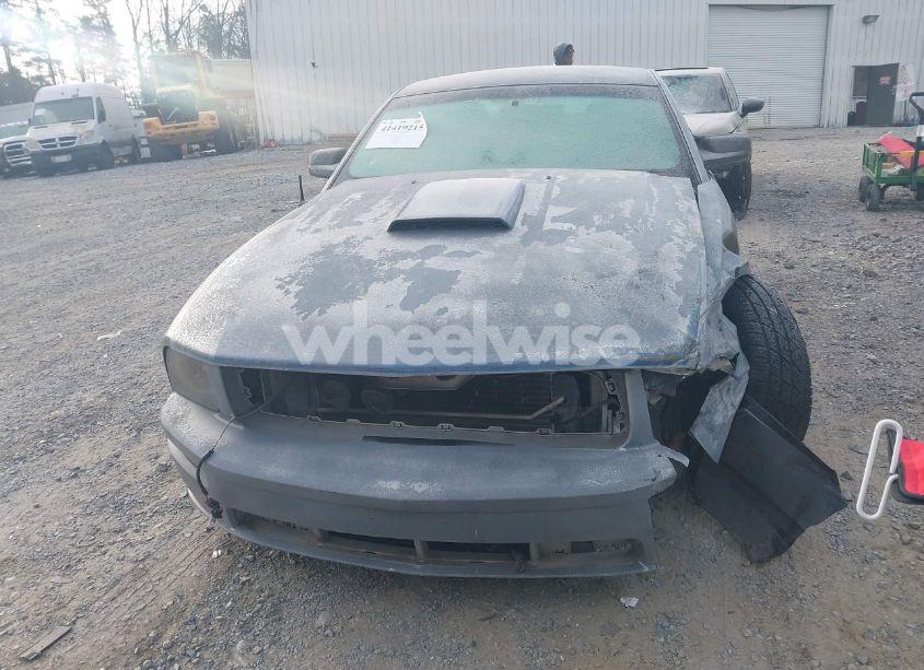 Photo 12 of 2007 Ford Mustang GT DELUXE/GT PREMIUM (VIN 1ZVHT82HX75225077)