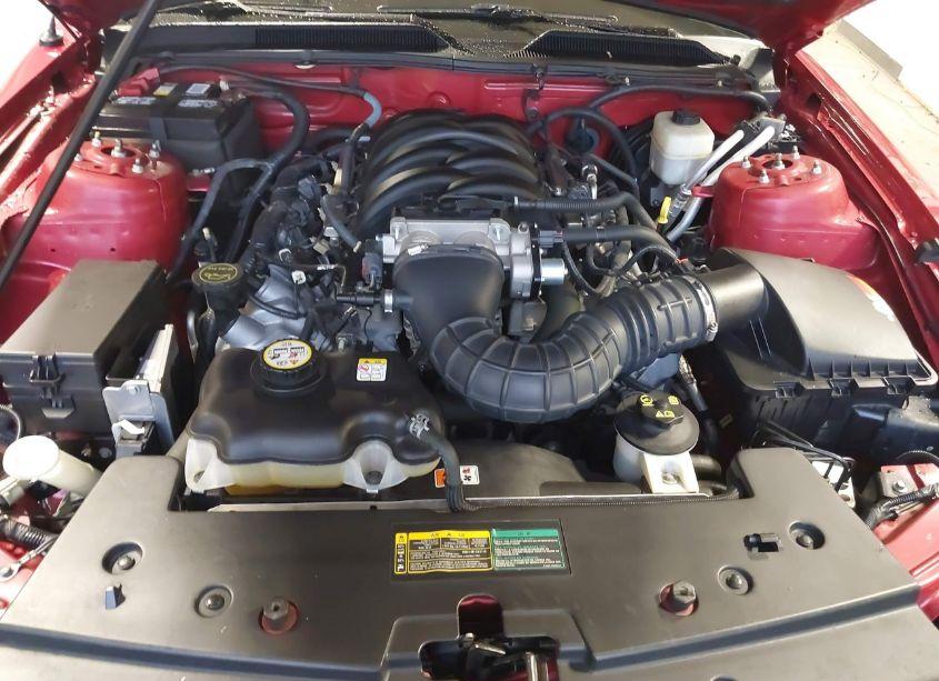 Photo 10 of 2008 Ford Mustang GT DELUXE/GT PREMIUM (VIN 1ZVHT82HX85102512)