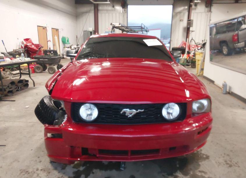 Photo 12 of 2008 Ford Mustang GT DELUXE/GT PREMIUM (VIN 1ZVHT82HX85102512)