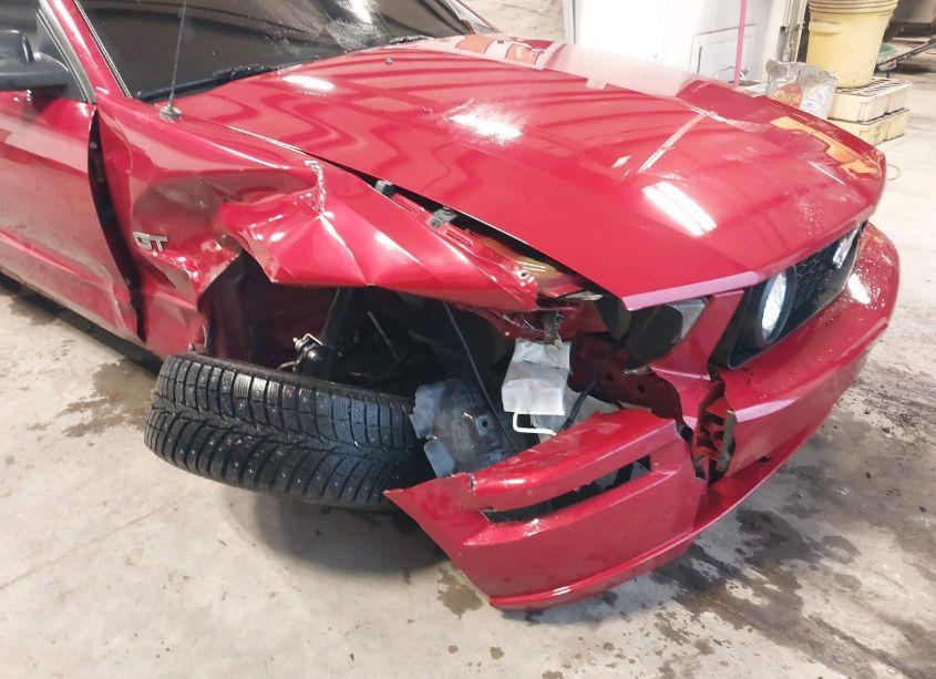 Photo 6 of 2008 Ford Mustang GT DELUXE/GT PREMIUM (VIN 1ZVHT82HX85102512)