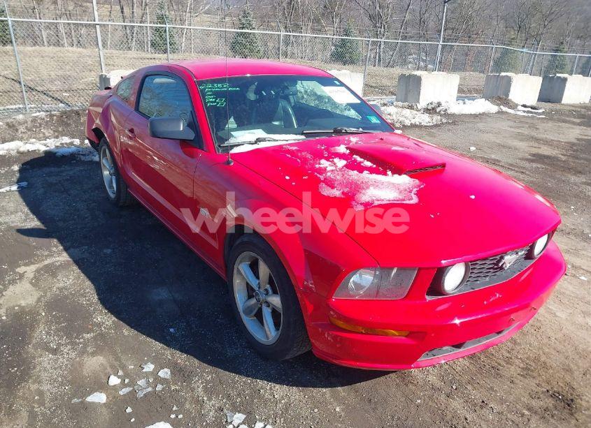 2008 Ford Mustang GT DELUXE/GT PREMIUM (VIN 1ZVHT82HX85123943) main photo