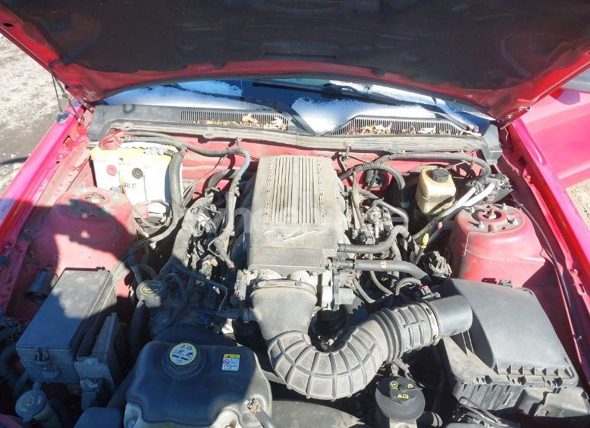 Photo 10 of 2008 Ford Mustang GT DELUXE/GT PREMIUM (VIN 1ZVHT82HX85123943)