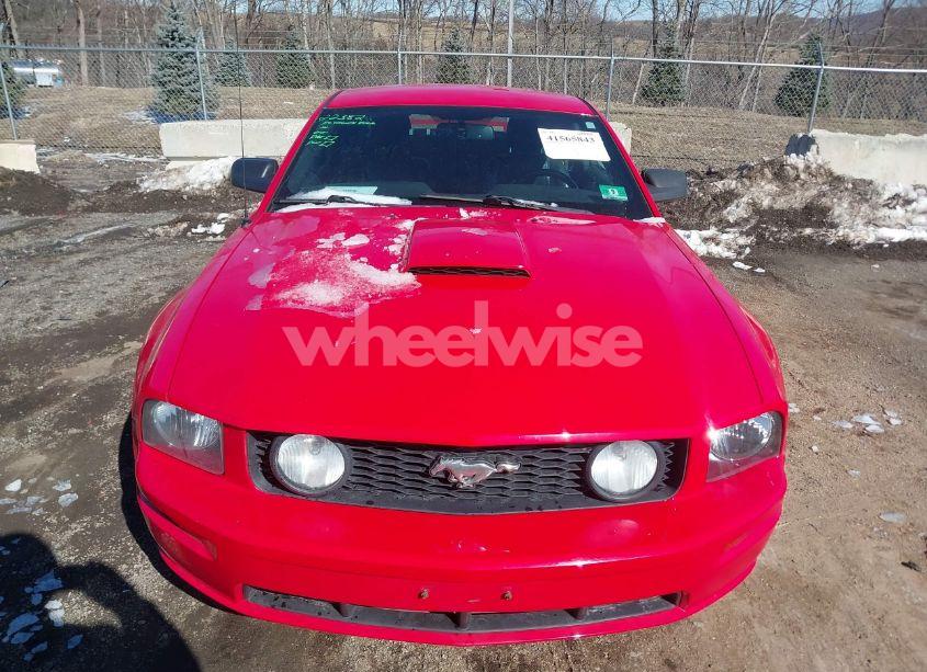 Photo 12 of 2008 Ford Mustang GT DELUXE/GT PREMIUM (VIN 1ZVHT82HX85123943)