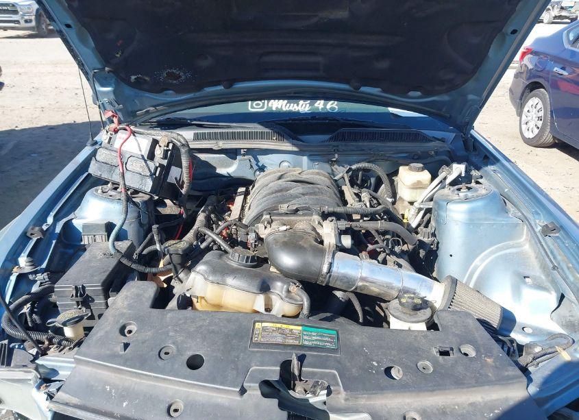 Photo 10 of 2008 Ford Mustang GT DELUXE/GT PREMIUM (VIN 1ZVHT82HX85143982)